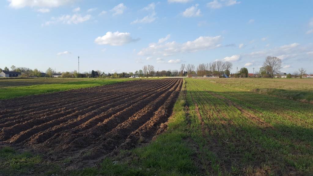 Changes Regarding Lease Of Agricultural Land In Poland Nieuwsbericht