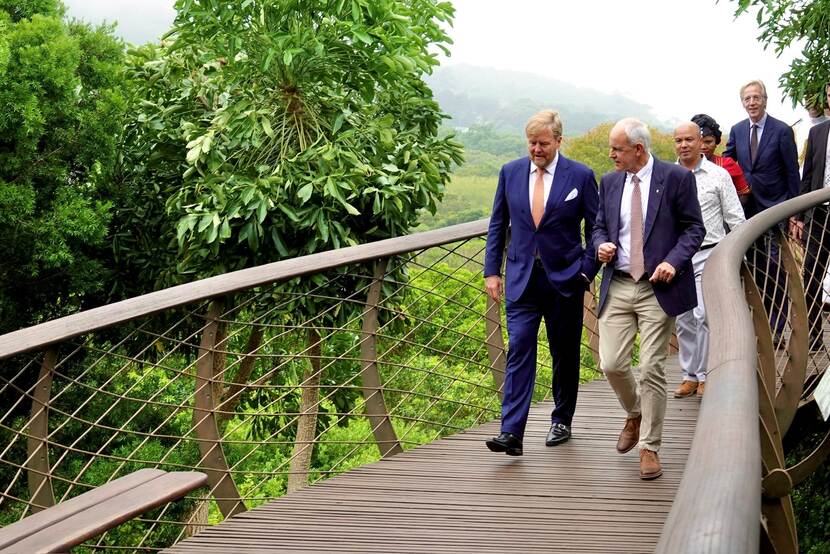 The King of the Netherlands and CEO of WWF South Africa walk on a suspended walkway through a botanical garden while be followed by an official delegation of people.