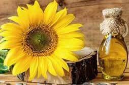 Zonnebloemolie