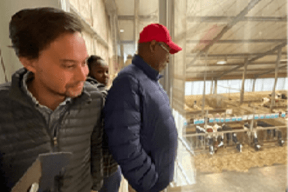 Bart Pauwels agriculture counsellor and former Principal Secretary Livestock observing the breeding cattle from a vantage point