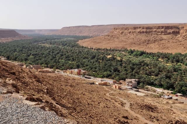 Saline agriculture project target area (oasis)