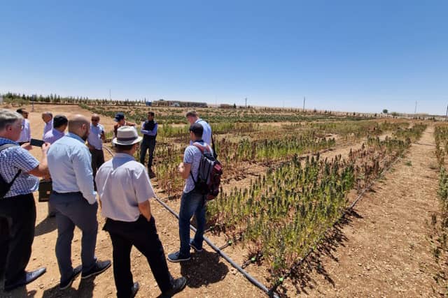 Trials of salinity tolerant crops
