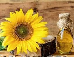 sunflower oil