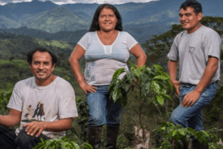 Koffietelers in Peru