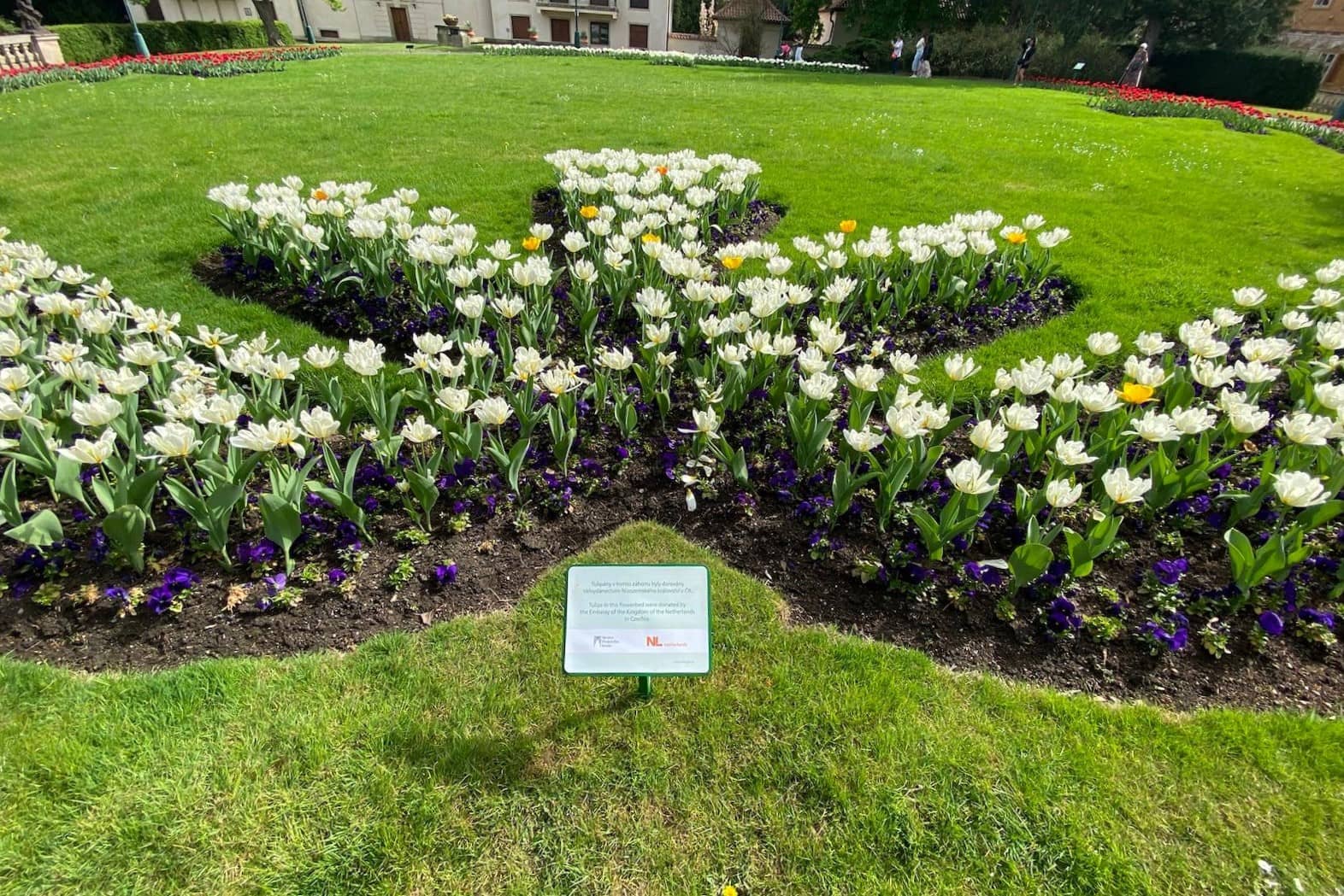 garden of the Prague Castle with tulip perk
