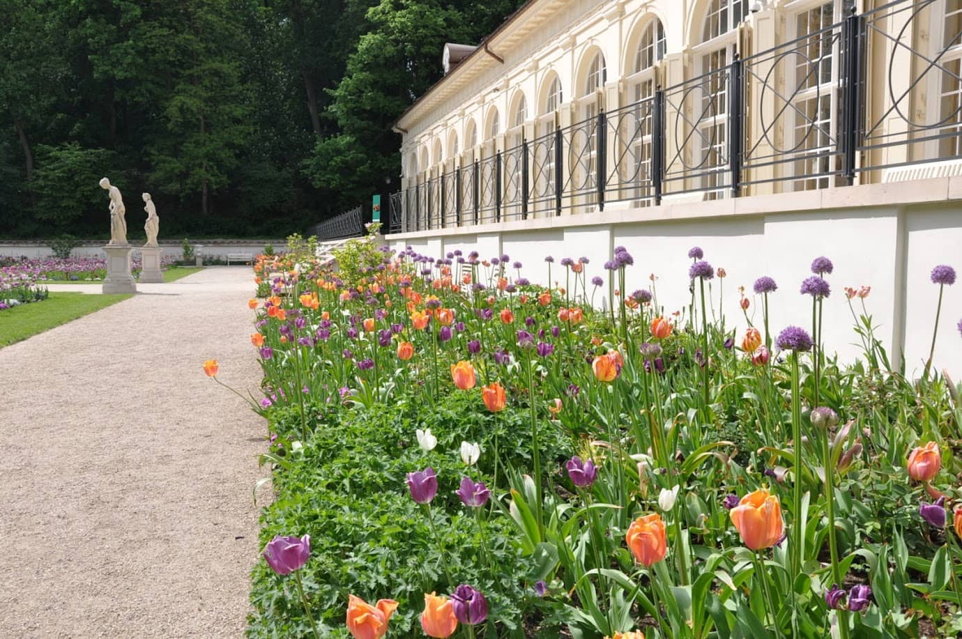 Dutch Garden in Warsaw