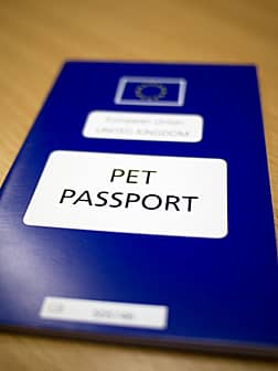 dierenpassport