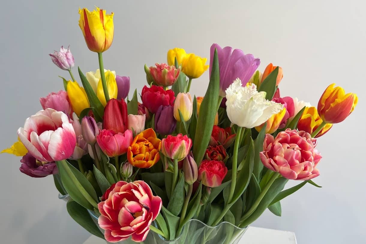 vase filled with tullips