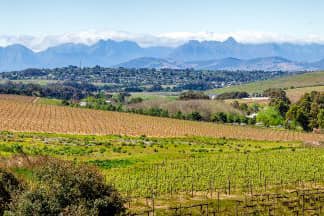 Landbouw Zuid-Afrika