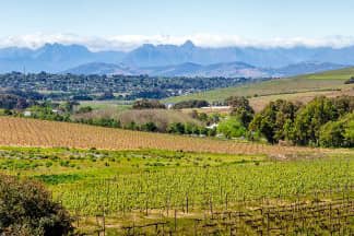 Landbouw Zuid-Afrika