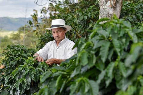 Colombian Farmers Society - SAC, concerned about reduction in the ...