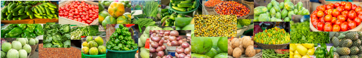 vegetables collage