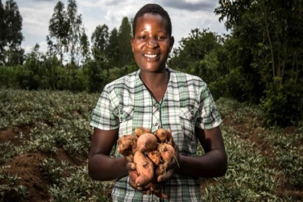 Working together on sustainable potato production in Kenya | Kenia ...