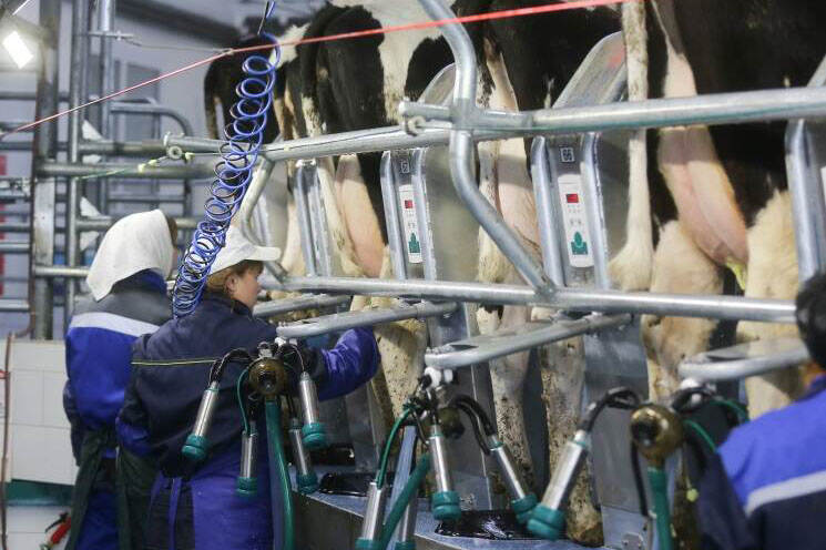 Greenhouse Gas Law Threatens Russian Dairy Industry 