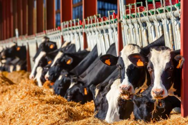 Spain: Milk Prices Soar By 25% 