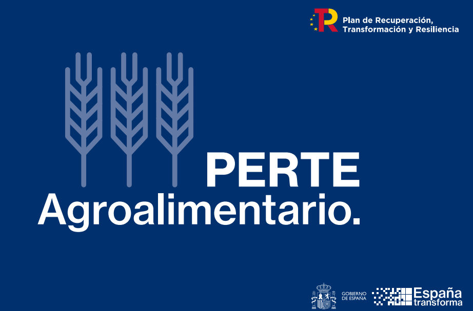 The transformation of the Spanish agro-industry | Nieuwsbericht ...