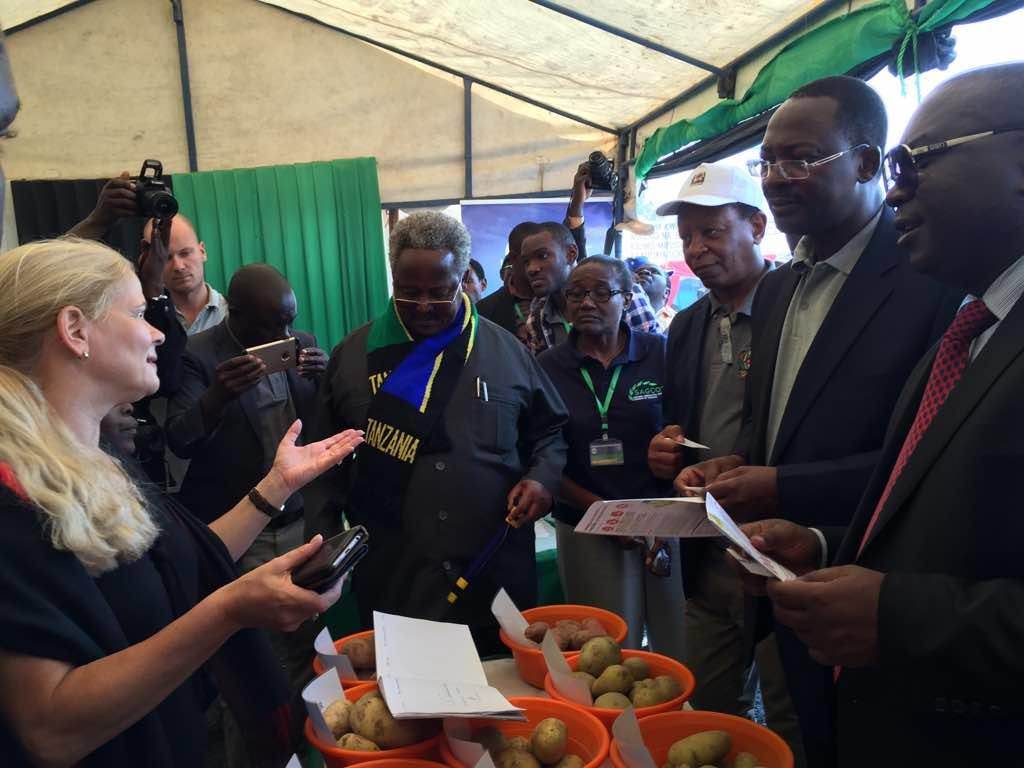 Nane Nane fair: Agricultural mission to Southern Tanzania | Tanzania ...