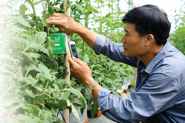 Time Is Ripe For Vietnam's Agriculture Digitalization | Nieuwsbericht ...