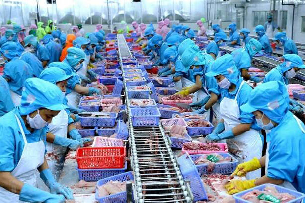 Vietnam Seafood exports pick up but challenges continue | Nieuwsbericht ...