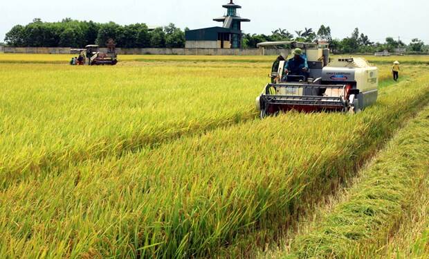 Vietnam eyes place in world’s top 10 farm produce processing hubs ...