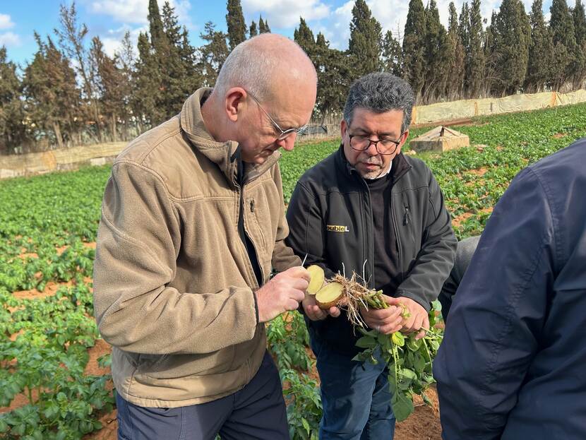 Seed Potato Field visit