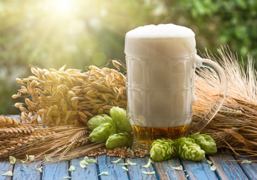 glas met bier staat op een tafel met daar achter gerst en daarvoor de bloem van een hopplant