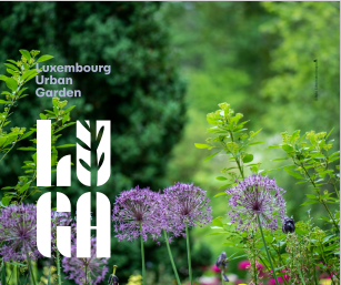 Paarsbloeiende sieruien tegen een groene tuin met het LUGA-logo in het wit op de voorgrond