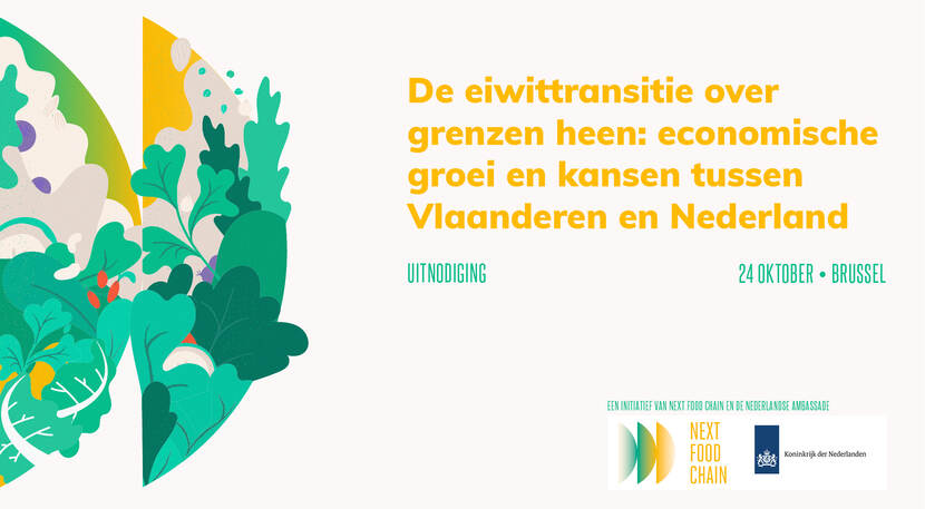 Banner in de kleuren groen en geel met links bladeren en planten en rechts de tekst "De Eiwittranitie over grenzen heen: economische groei en kansen tussen Vlaanderen en Nederland";