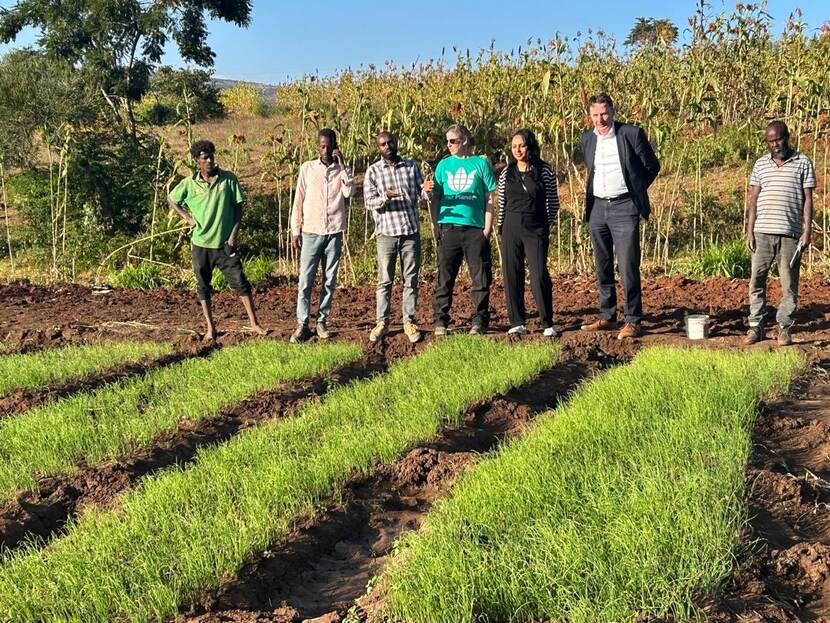 Bezoek aan proefvelden met diverse variëteiten groenten in het Oosten van Ethiopië