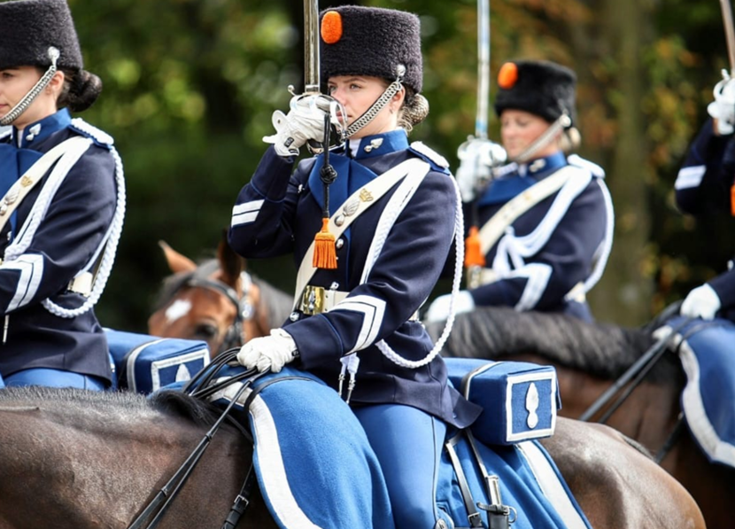 Prinsjesdag 2024 Paard