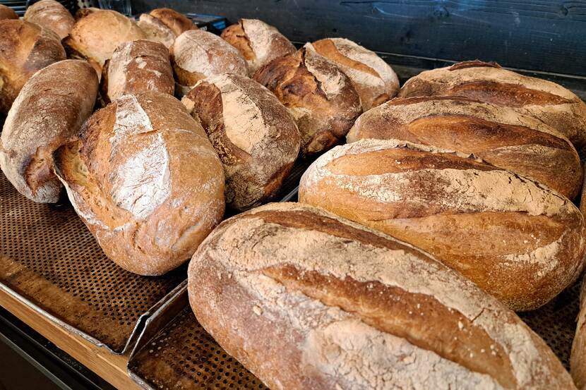 Rows of freshly baked bread can be seen, placed on large, metal trays in a bakery.