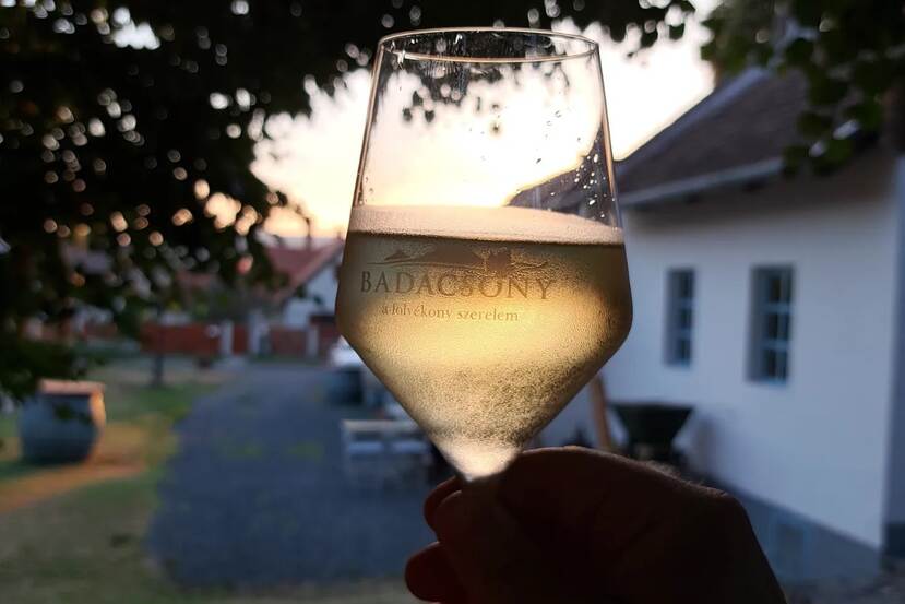 A glass of wine can be seen. The photographer raised it so that the light of the setting sun shines through it. There are buildings and trees in the background.