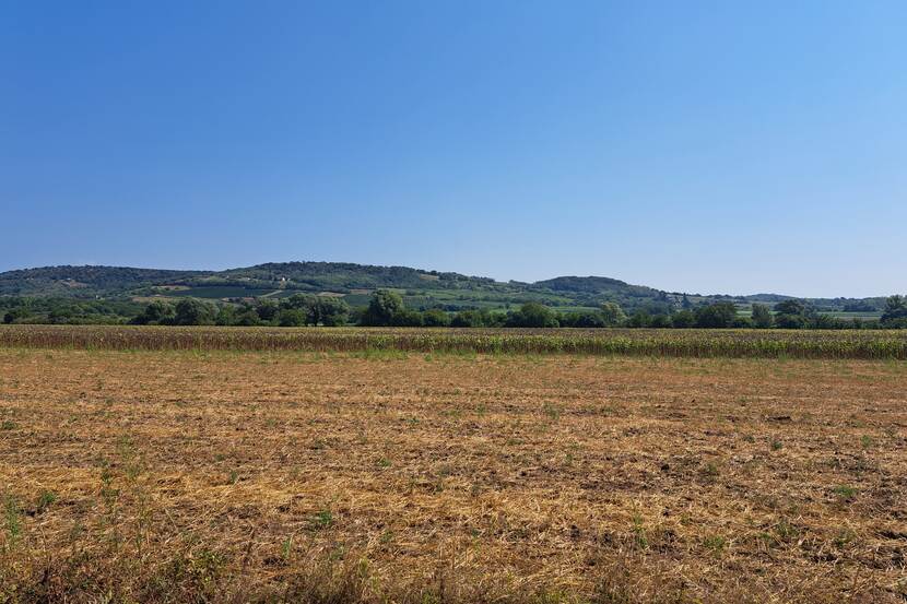 A field can be seen after the harvest. The sun is shining, it is summer.