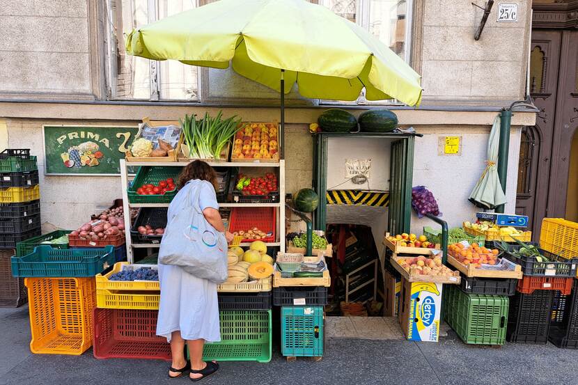 A fruit vendor's stall can be seen on the street in Budapest. A woman is browsing. There is a parasol above the fruits.