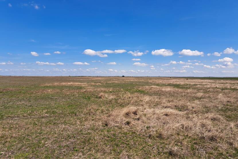 A grass plain can be seen in the photo, in the Kiskunság region in Hungary. Located in Hungary, this area is the westernmost patch of the Eurasian steppe stretching from Central Europe to China. In the photo, the sky is pale blue with small clouds in the distance, and the grass is yellow and dried out in large patches.
