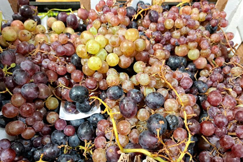 Table grapes laid out in a paper crate can be seen. They are of various colors.