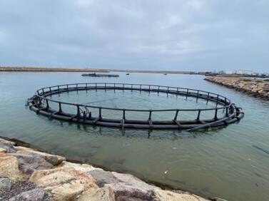 cages in water