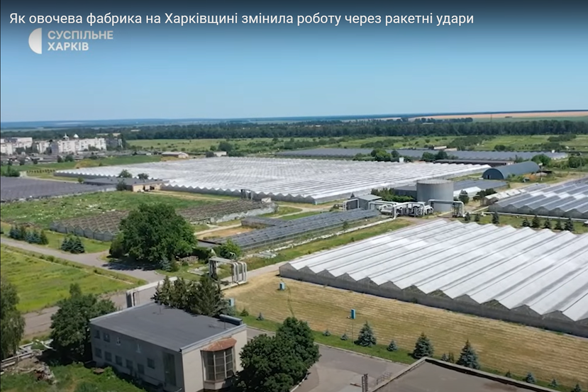 Zmiiv vegetable factory 2020