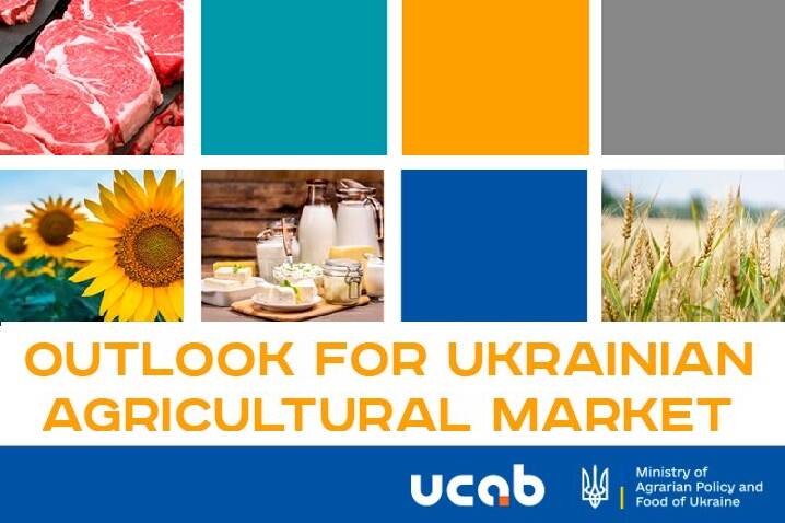 Outlook for Ukrainian Agricultural Market with Results for 2024