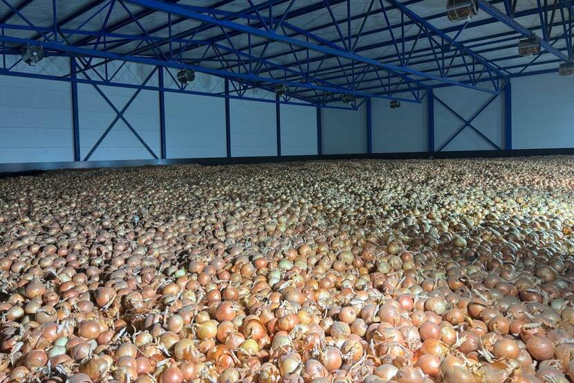 Tolsma onion storage in Ukraine