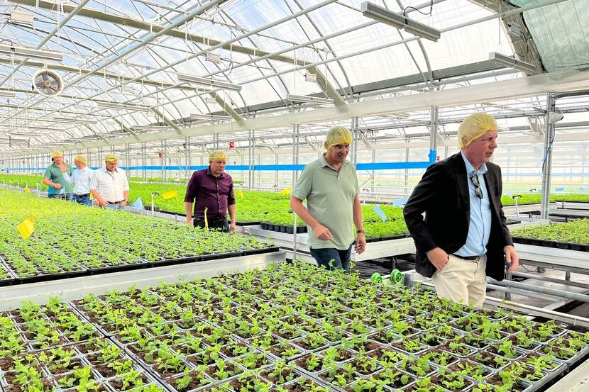 group of people checking herbs in a greenhouse