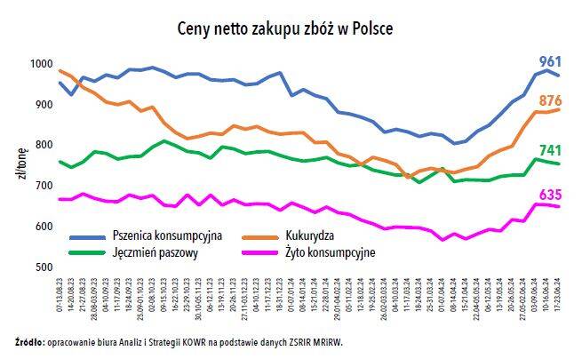 in-buy prices of grain in Poland