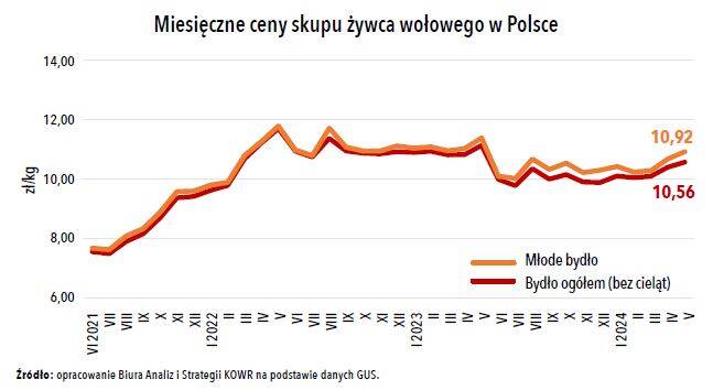 prices of living beef in Poland