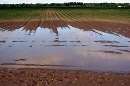 field covered with water