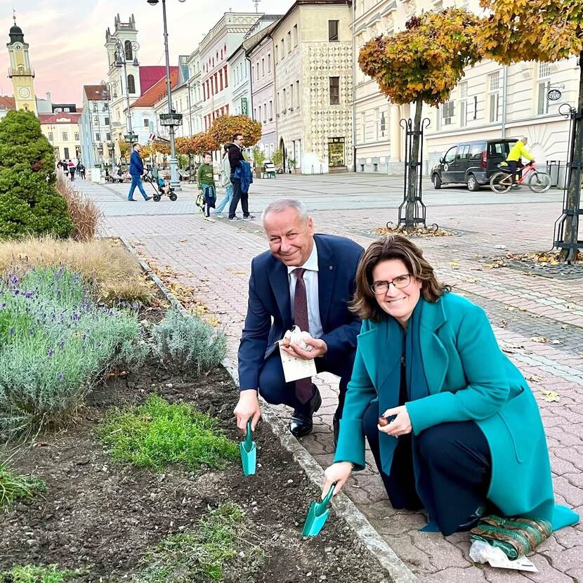 Ambassador Sancisi planting Slovensko tulip