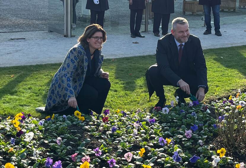 Ambassador Sancisi planting Slovensko tulip with president of Slovakia Mr Peter Pellegrini