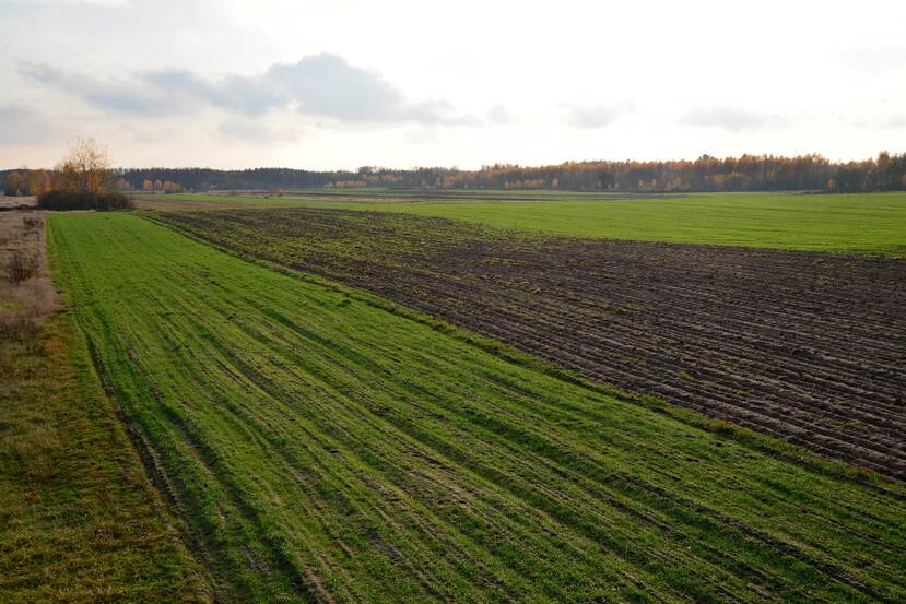 veld in het najaar in Polen