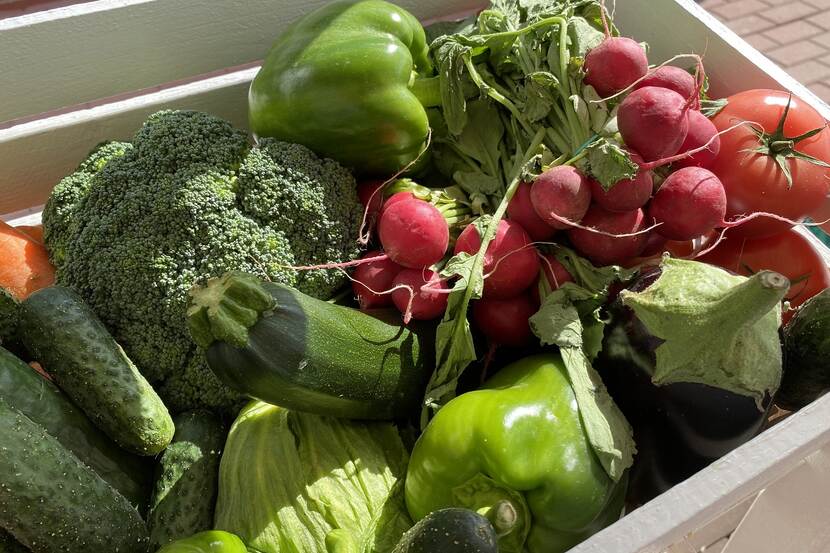 basket of diverse vegetables