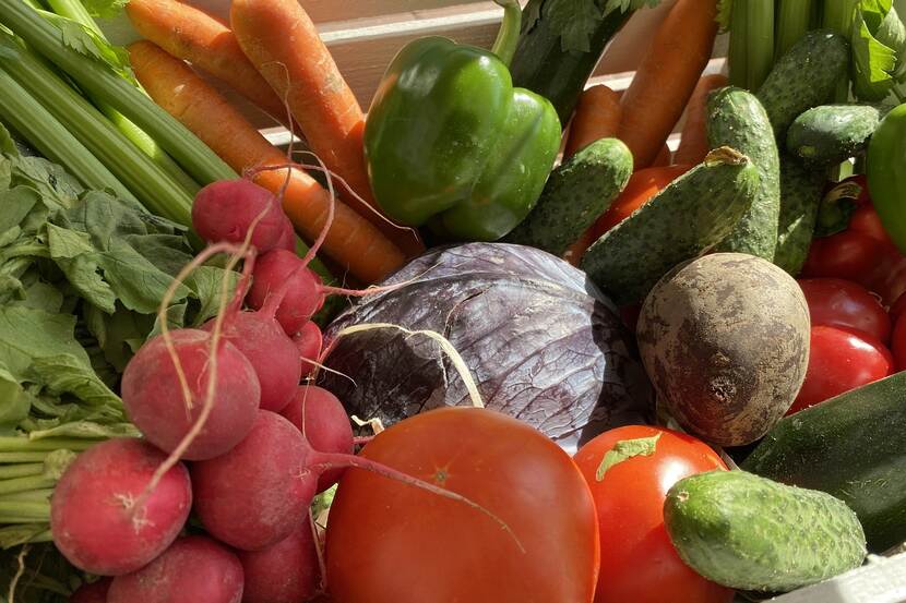 basket of diverse vegetables