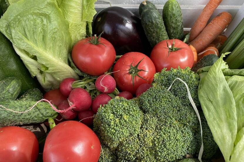 basket of diverse vegetables